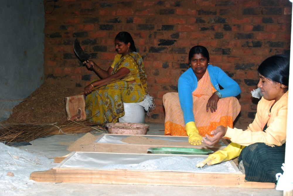 Coconut Splinters and Wood Wastes being Prepared